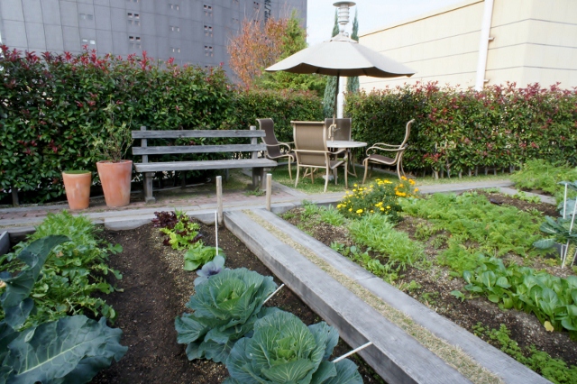 Coin détente et parcelles du potager de Parks Garden - © Namba Parks